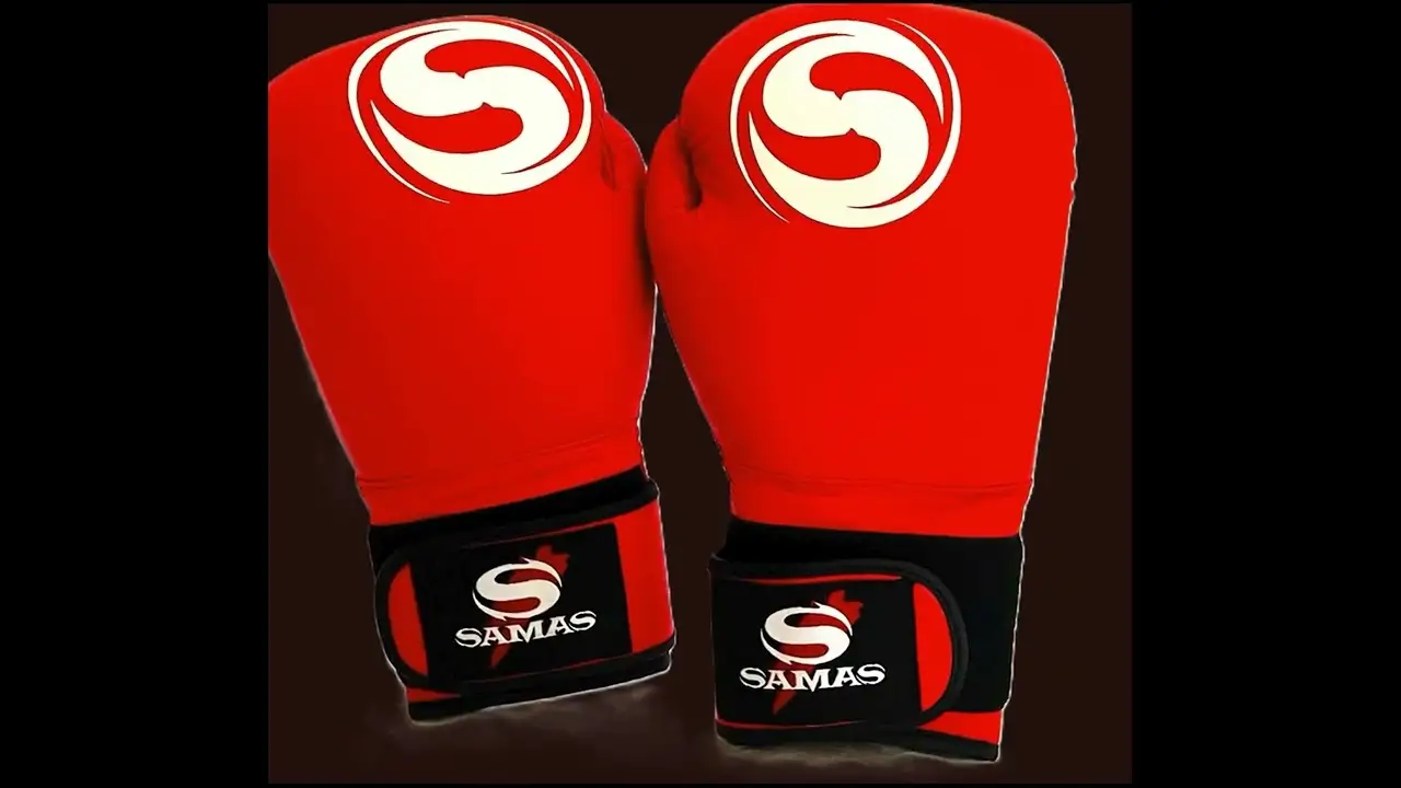 Watch SAMAS training video 5